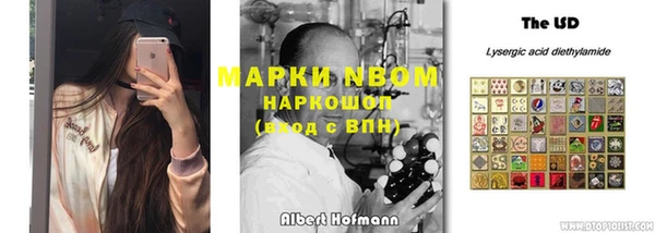 сатива Бронницы