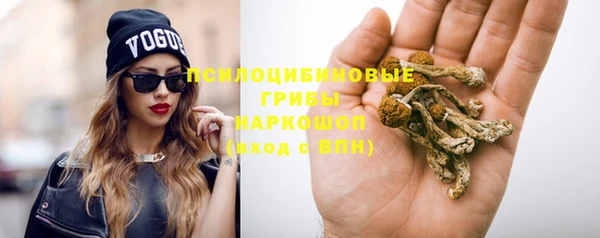 мдма Богородицк