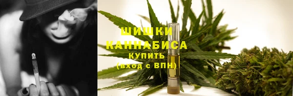 сатива Бронницы
