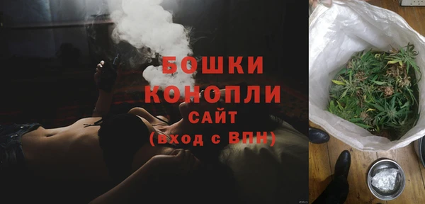 сатива Бронницы