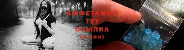 сатива Бронницы