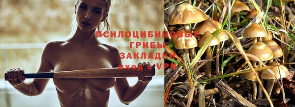 Альфа ПВП Бугульма