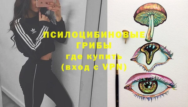 Альфа ПВП Бугульма