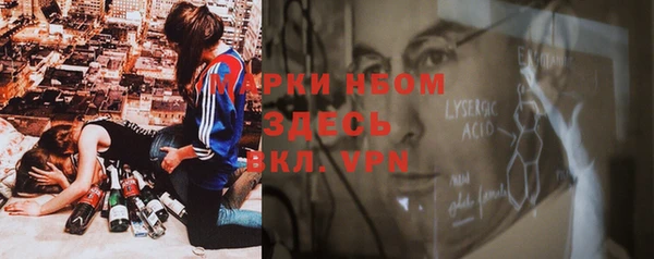 сатива Бронницы