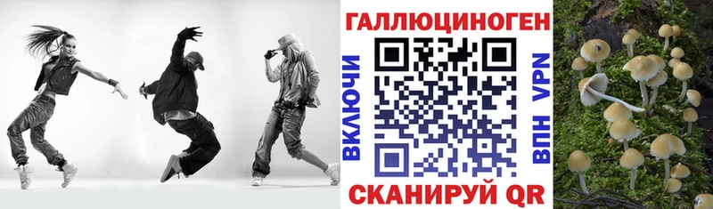 Псилоцибиновые грибы Psilocybine cubensis  Балабаново 